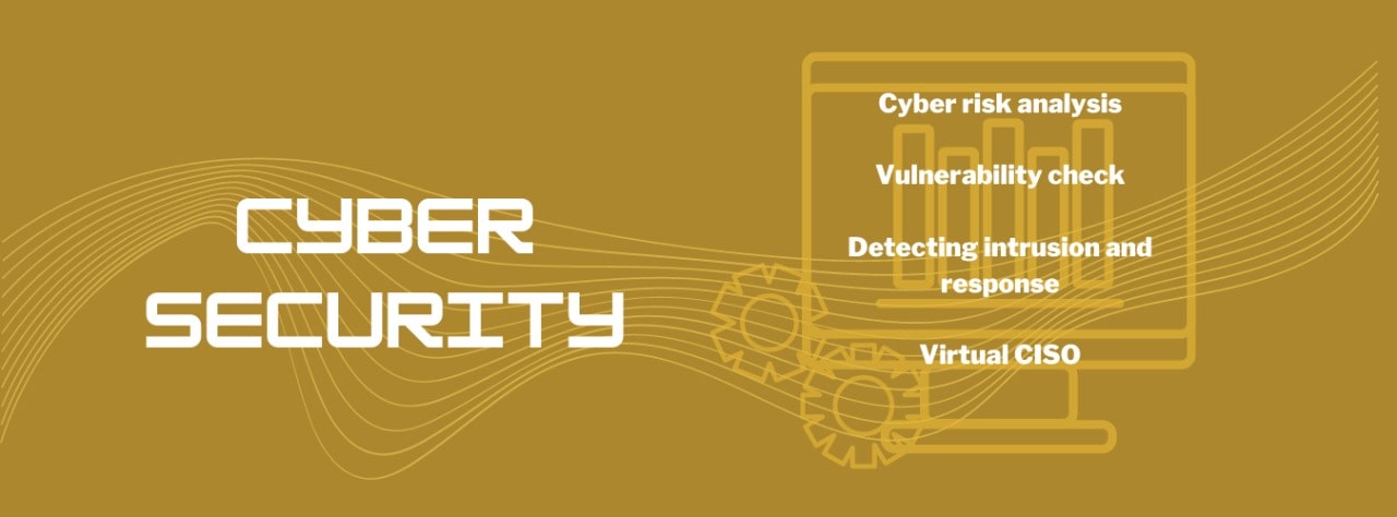 Cyber Security, Remote Support